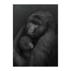 Póster Bergsgorillan, 50x70 cm