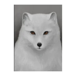 Póster Fjällräv, 30x40 cm