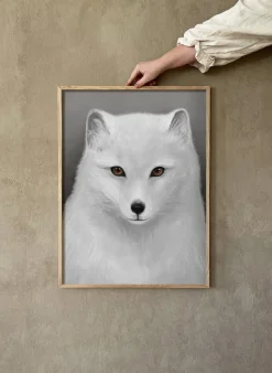 Póster Fjällräv, 30x40 cm