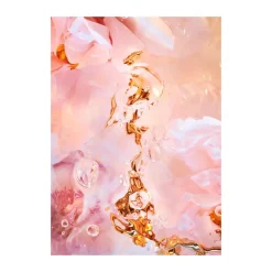 Póster Flora Aquatica 02, 50x70 cm