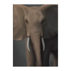 Póster Skogselefant, 30x40 cm