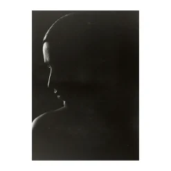 Póster The Silhouette, 50x70 cm