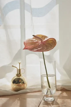 Pulverizador de plantas Globe, Oro