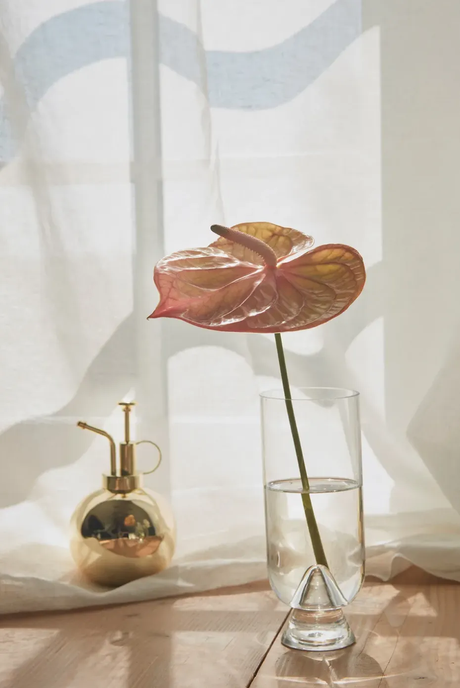 Pulverizador de plantas Globe, Oro