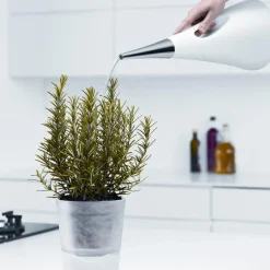 Regadera AquaStar, blanco