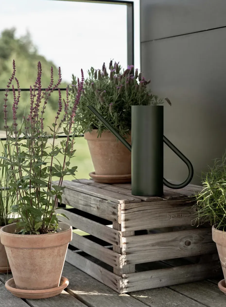 Regadera Bloom 2 L, Pine