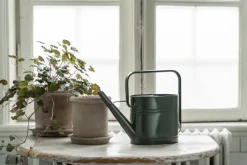 Regadera Ernst, Salvia, 3 L