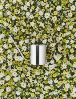 Regadera Original 1,7 l, acero inoxidable