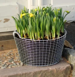 Saco para plantar Korbo 3 piezas, 24 L