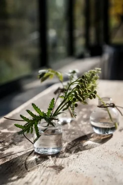 Set de jarrones Ernst de regalo 3 piezas, Claro