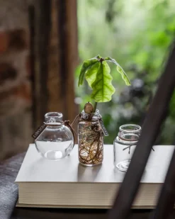 Set de jarrones Ernst de regalo 3 piezas, Claro