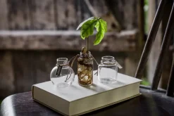 Set de jarrones Ernst de regalo 3 piezas, Claro