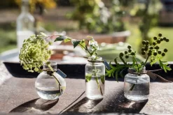 Set de jarrones Ernst de regalo 3 piezas, Claro