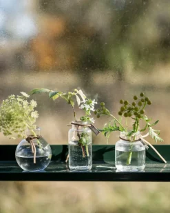 Set de jarrones Ernst de regalo 3 piezas, Claro