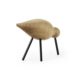 Shorebird, roble-negro, mediano