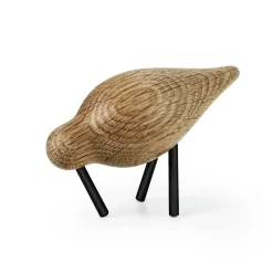 Shorebird, roble-negro, pequeño