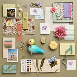 Story bird, Alegría