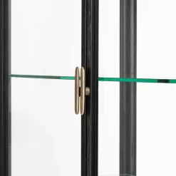 Vitrina Private, Vidrio, marrón-roble teñido de negro