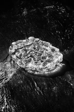 Wirkkala Ice platter art piece Ø13,5 cm, transparente